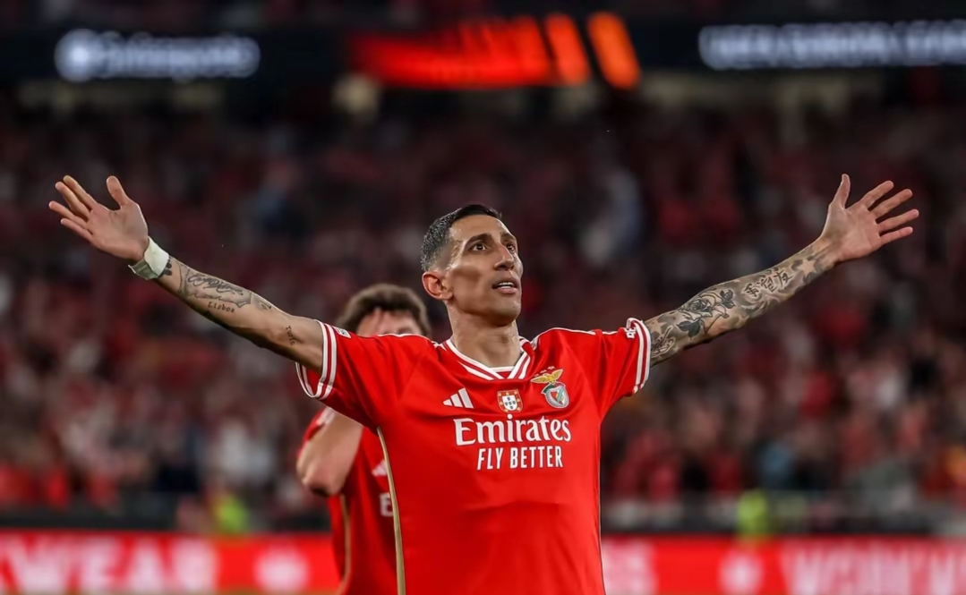 今夜突围战来临，本菲卡围绕英超外线爆发，信心回归，控场能力受关注的简单介绍